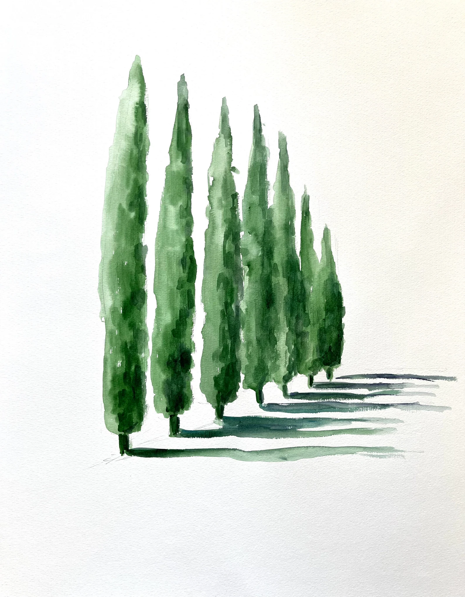 Tuscan cypress-lined path leading to art retreat workshops at Soiano