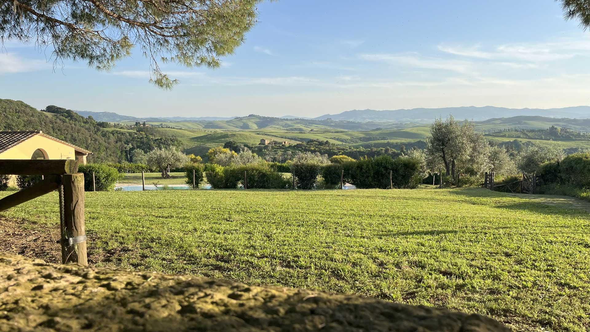 Organic vineyard panorama at Soiano agriturismo in Tuscany wine country