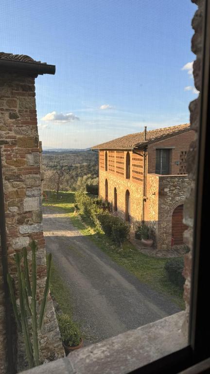 Trebbiano 11
